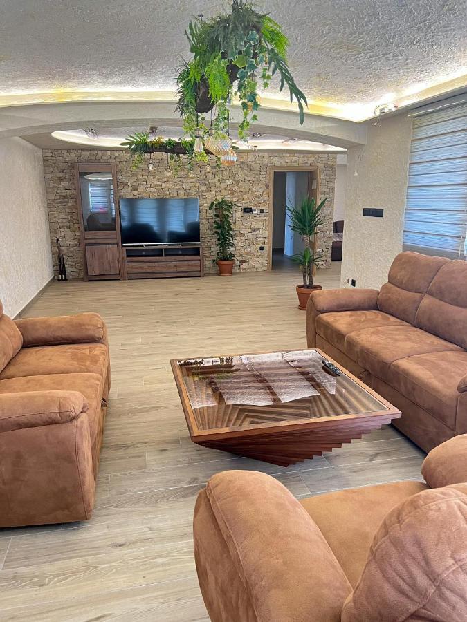 Motel Pizzeria Actros Nova Topola المظهر الخارجي الصورة